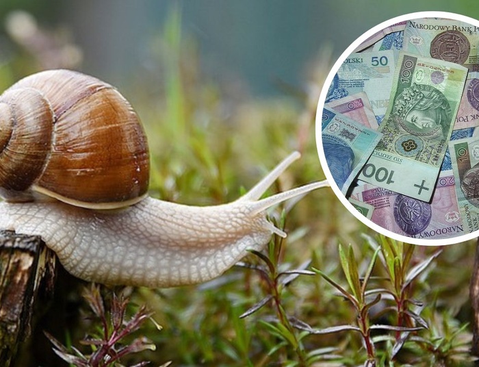 Polacy lubią to robić. Szybko doganiamy inne narody