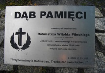Tabliczka Dębu Rotmistrza Pileckiego posadzonego w dolnośląskim Lubinie w 110. Urodziny Rotmistrza.