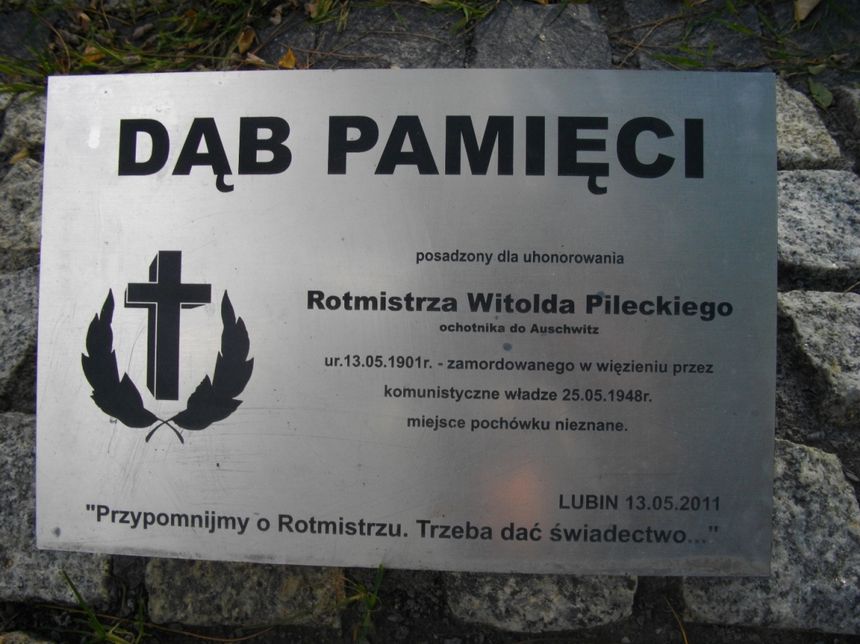 Tabliczka Dębu Rotmistrza Pileckiego posadzonego w dolnośląskim Lubinie w 110. Urodziny Rotmistrza.