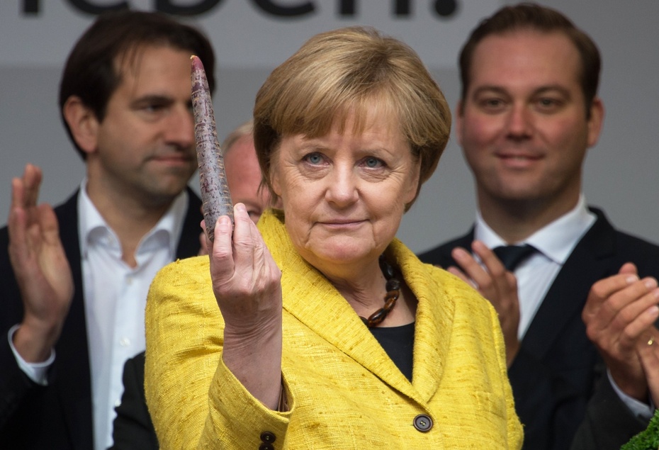 Angela Merkel. fot. PAP/EPA/DANIEL KOPATSCH