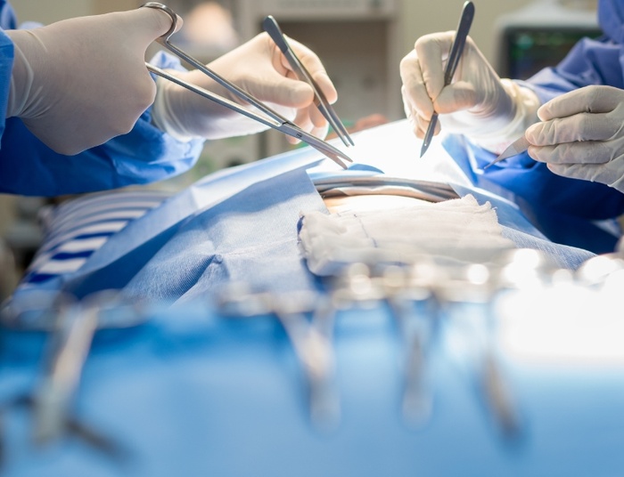 Pierwszy przeszczep wątroby świni człowiekowi. Operacja się udała, pacjent nie żyje