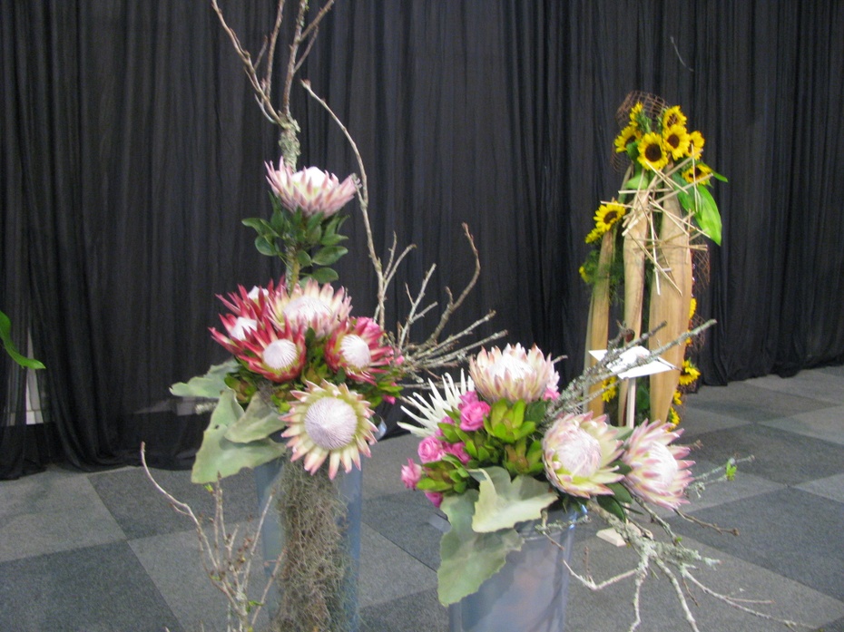 Zdjęcie ilustracyjne - kwiaty na wystawie w Pietermatitzburgu 2016, zdjęcie własne