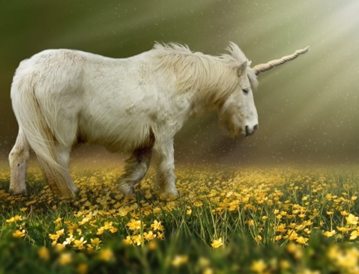 Brak to dowód nieistnienia