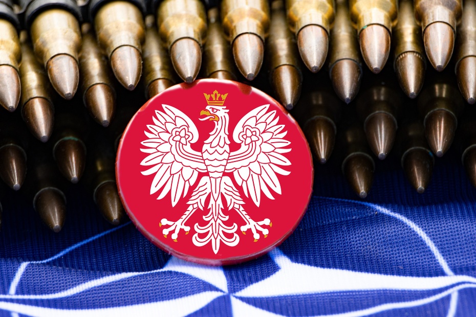 Od 12 marca 1999 roku Polska należy  do NATO Fot. Pixabay