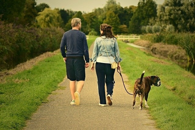 Posiadacze psów nie mają problemu ze znalezieniem czasu na spacer.