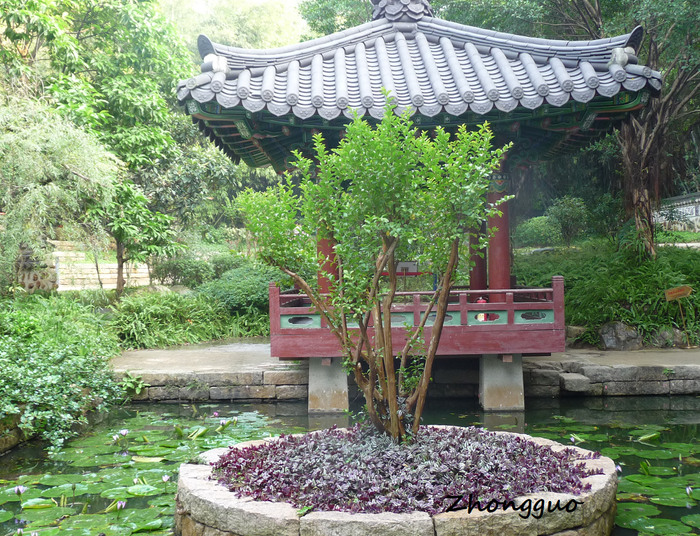 WSPOMNIENIE Z KANTONU