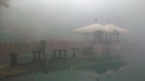 W parku Alishan. Zbz
