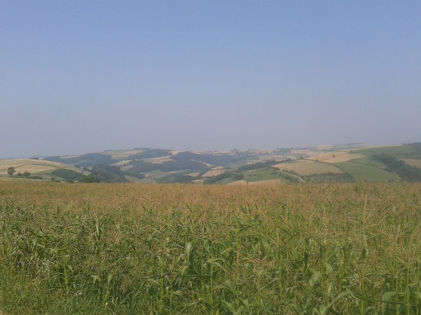 W Ubiedzie na szczycie górki i widok na Pogórze Rożnowskie