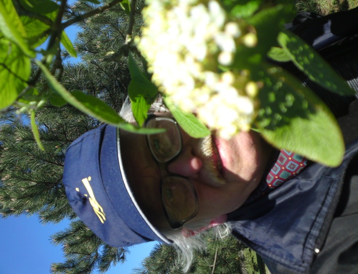 Sprzedawca snów - Część III