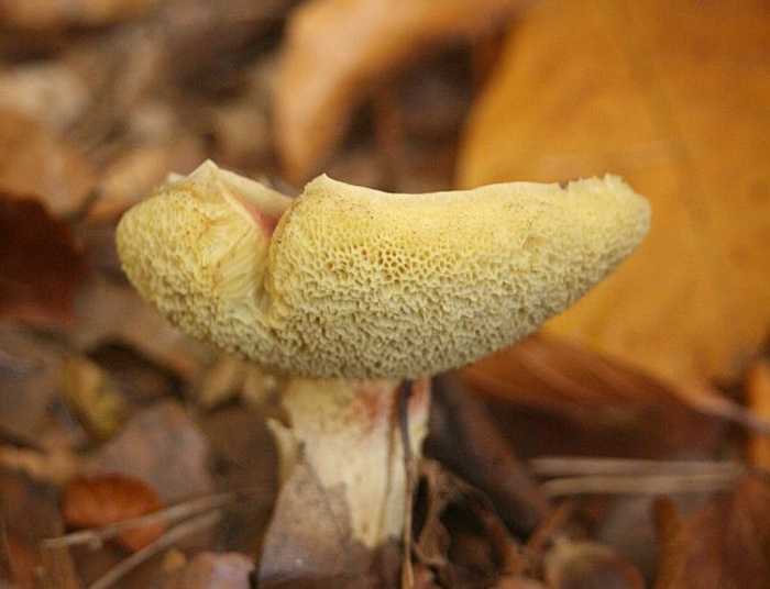 Zamek w ..... No właśnie - gdzie ?