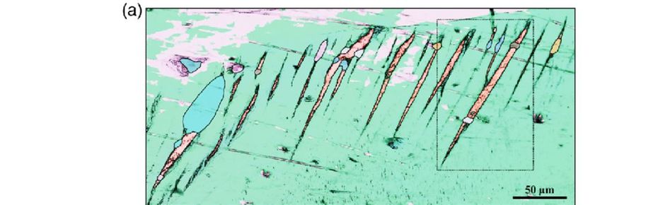 subgrain- zrzut z sieci