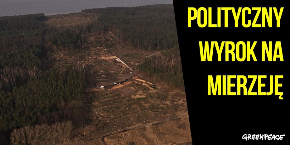Greenpeace Polska uważa prace nad przekopem Mierzei Wiślanej za "polityczny wyrok na przyrodzie. Fot. Twitter/GreenpeacePolska