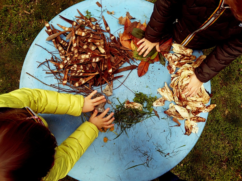 Szkoły mogą organizować ekolekcje w polskich lasach jeszcze w tym roku szkolnym.