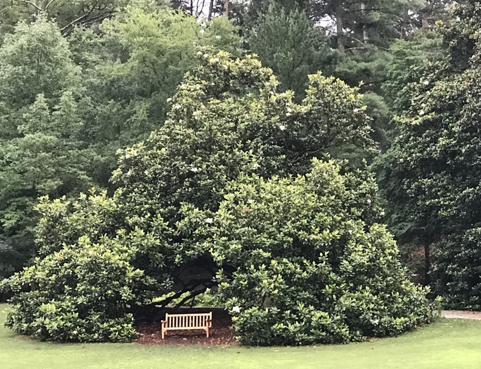 ZAMYŚLENIE (Ławka)