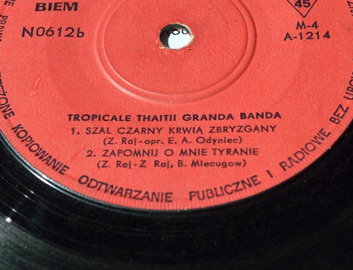 10. Dywizja Pancerna Wehrmachtu nad Wizną