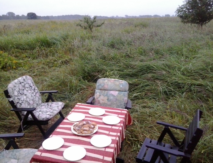 W krainie gotyckich transformatorów