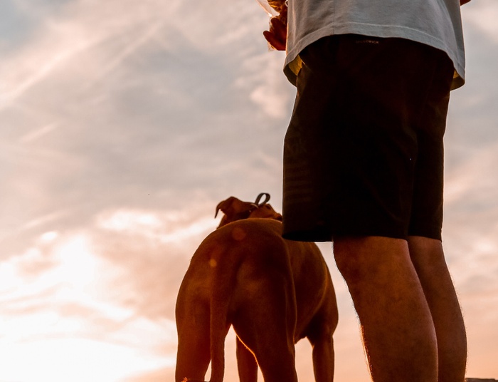 Psiebiegnij się! Bieganie z psem
