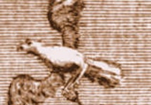 Orzeł  Biały z Kotwicą Nadziei- fragment ryciny Antoniniego