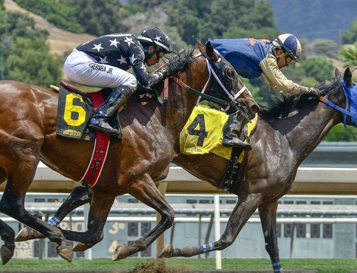 Zakłady trifecta w wyścigu prezydenckim USA