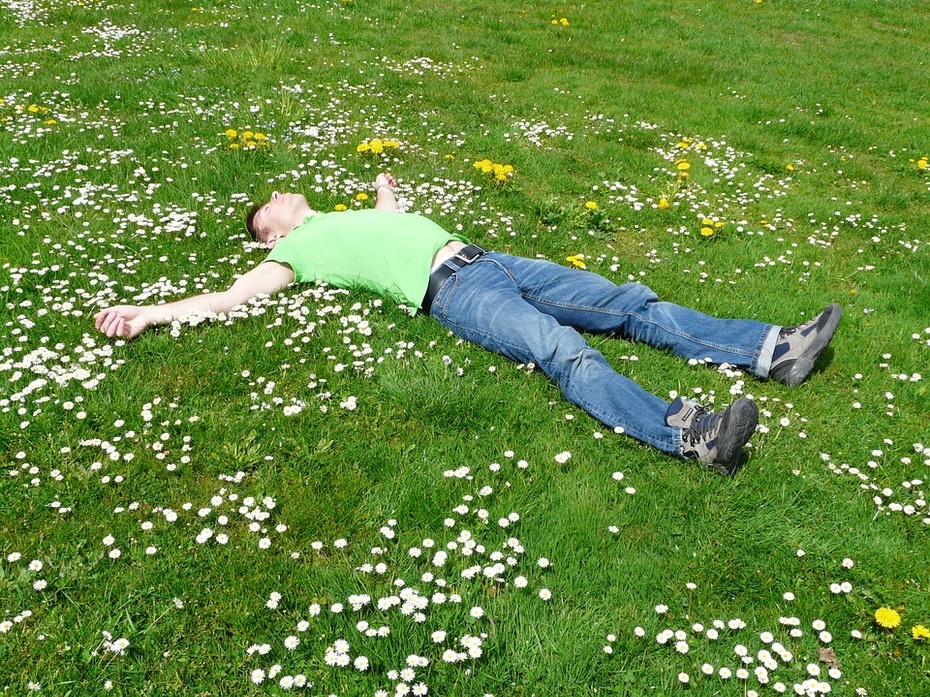 Wiosna to trudny czas dla alergików uczulonych na pyłki roślin. Fot.: Pixabay