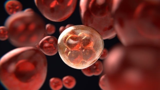 Nanodrony atakują komórki raka. Fot. Pixabay