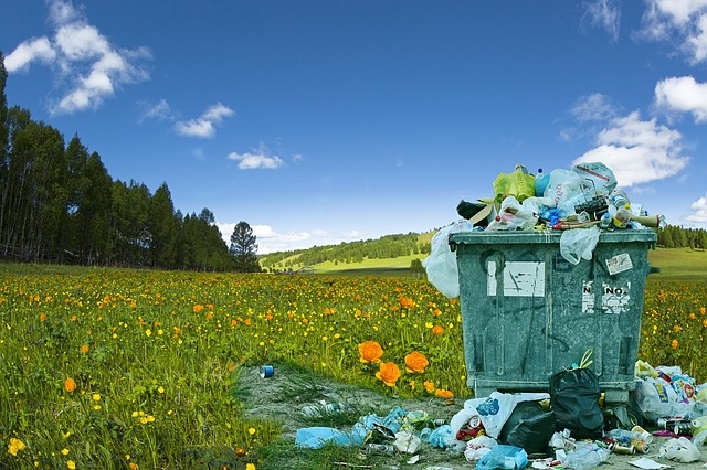 Segregacja i recykling śmieci budzi w Polsce spore kontrowersje.