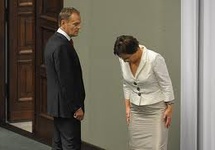 SE - polska debata wewnątrzplatformiana