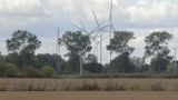 Żuławskie wiatraki - dla Wzmianki piszącej o energetyce wiatrowej