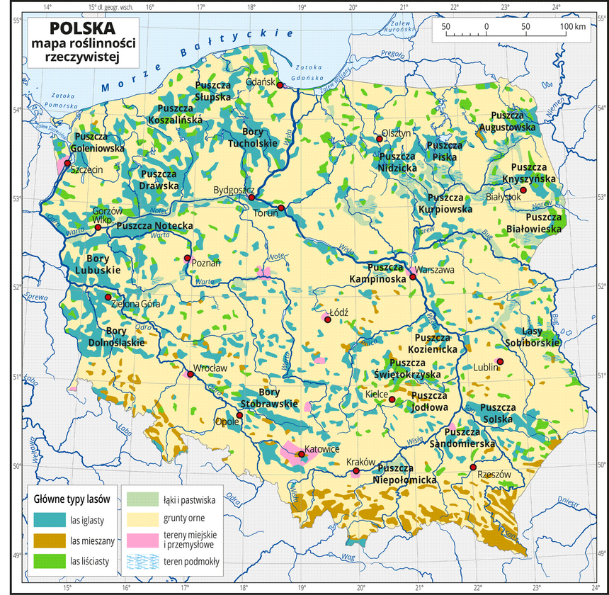 Mapa lasów w Polsce