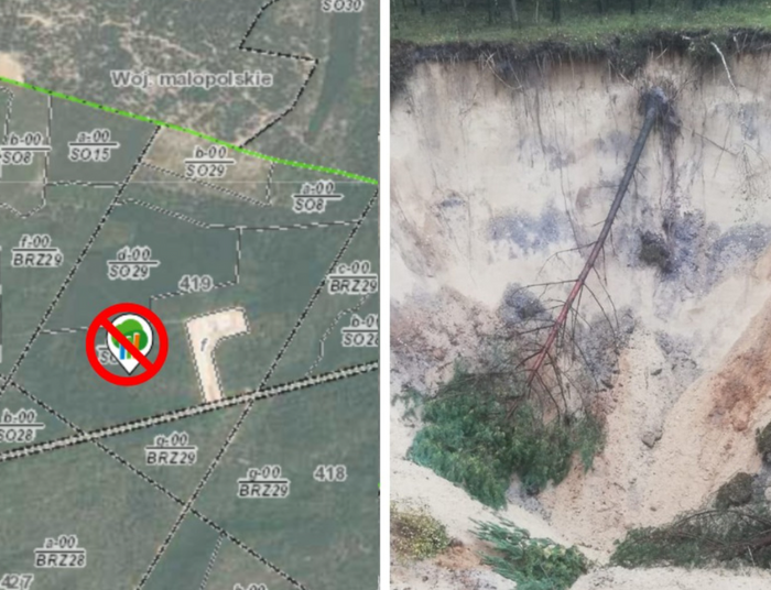 Zakaz wstępu do lasów do końca marca. Sytuacja będzie wymagać przedłużenia restrykcji