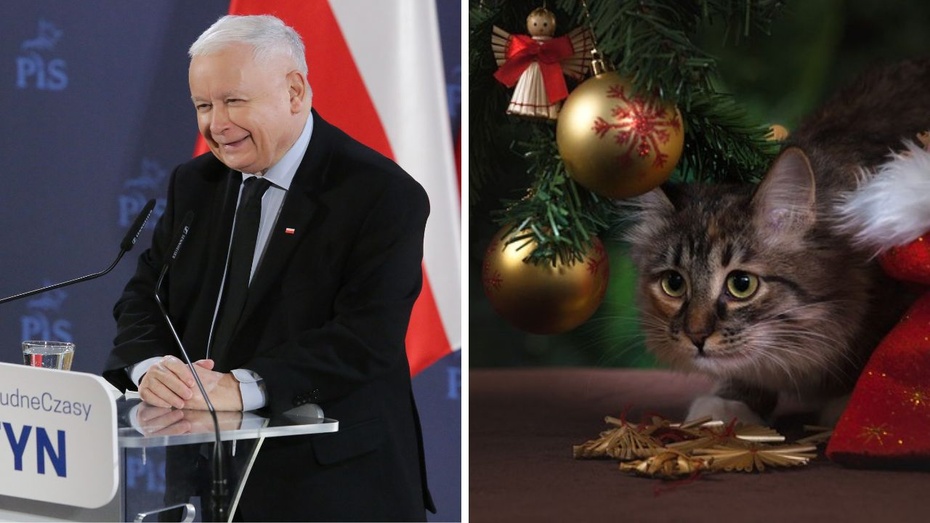 "Prezes PiS Jarosław Kaczyński na przełomie stycznia i lutego wróci do objazdu po kraju". Fot. PAP/Pixabay/Canva