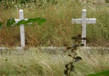 Fragment cmentarza żołnierzy polskich w Bolonii, Cimitero di Guerra Polacco di Bologna, 14 VIII 2013 r. Foto: Robert Pieńkowski