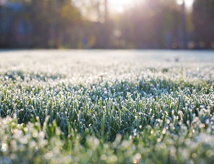No i diabli wzięli...