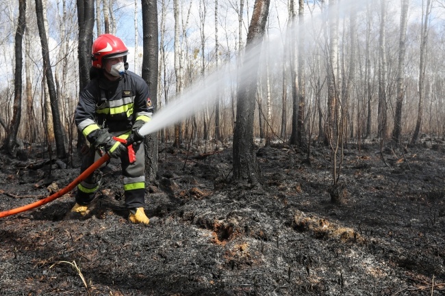 Pogłębiająca się susza sprzyja pożarom. Akcja gaśnicza w Biebrzańskim Parku Narodowym. Fot. PAP/Artur Reszko