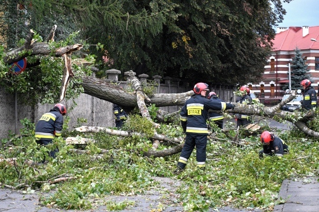 Strażacy usuwają drzewo, które złamało się podczas wichury jaka przeszła nad Przemyślem, fot. PAP/Darek Delmanowicz
