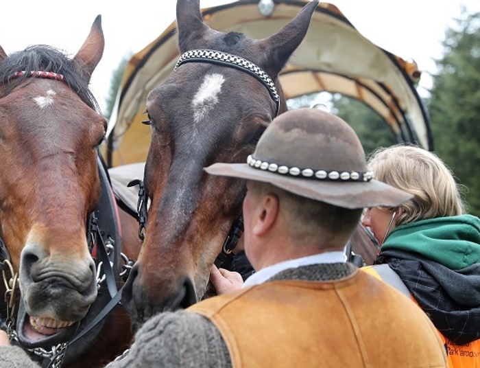 Konie pod Morskim Okiem. Barbarzyński biznes czy dobra tradycja?