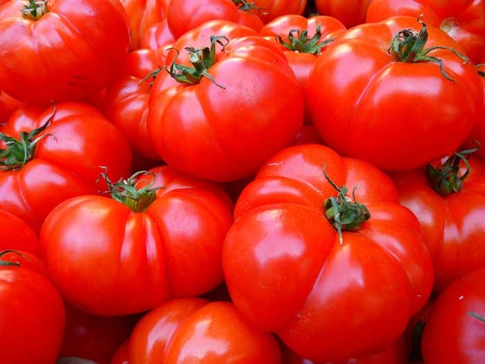 Pomidor wartość odżywcza i wymagania