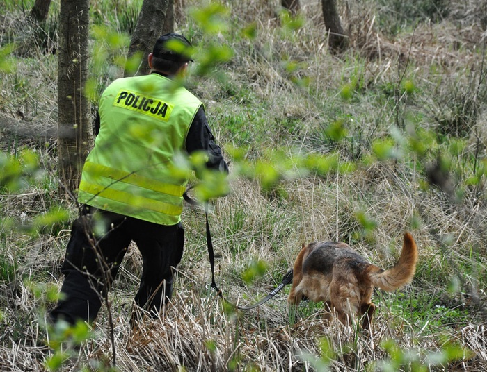 Ciało 4-latka zakopane w lesie. Matka i jej partner mają po 19 lat. Usłyszeli zarzuty