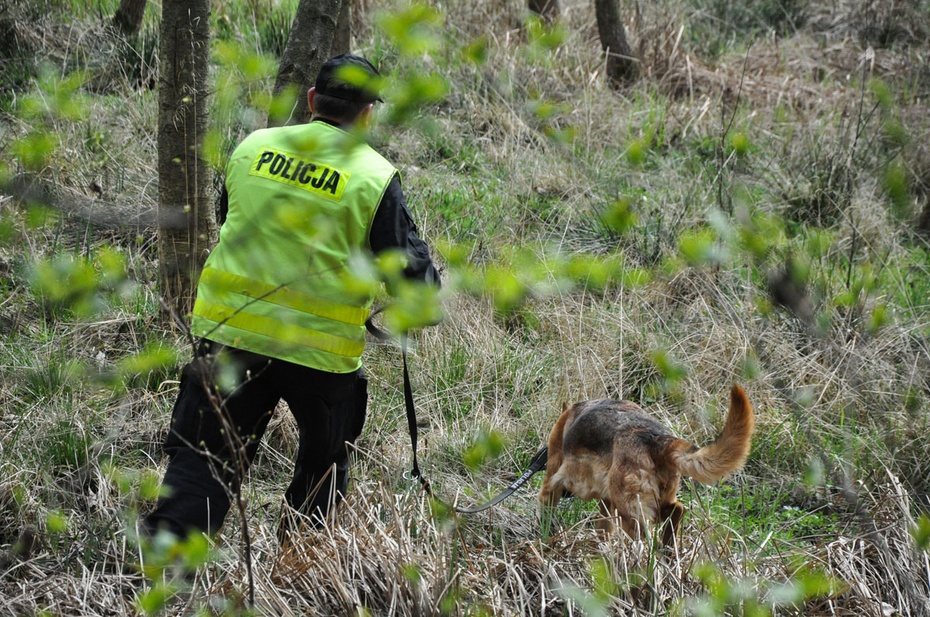 Ciało dziecka znaleziono w lesie. Zdjęcie ilustracyjne. Fot. policja.gov.pl