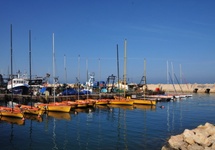 Marina w Jaffie