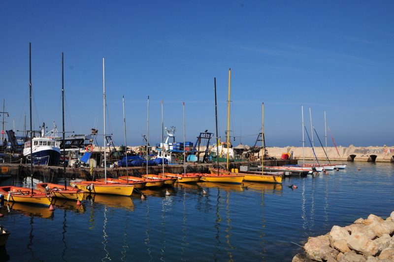 Marina w Jaffie