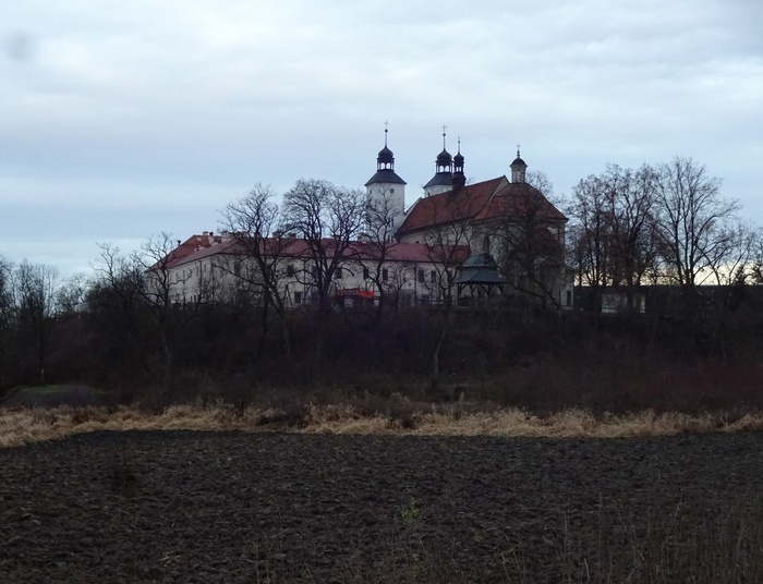 Czy ktoś chce kupić małego konia?