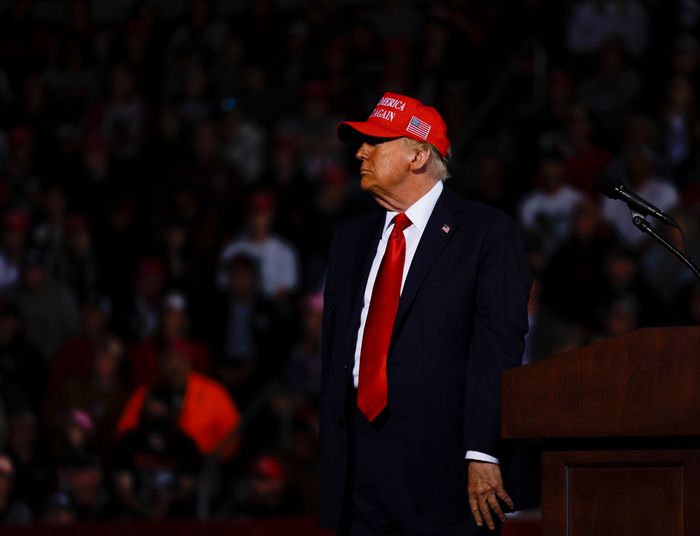 Najnowsze sondaże z USA. Rywalizacja Harris z Trumpem niezywkle zacięta