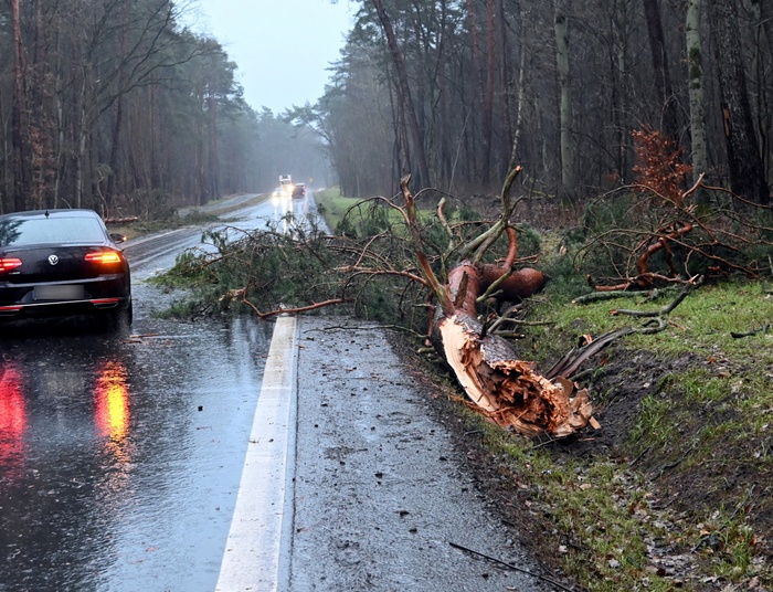 Od dzisiaj znowu zima i wichury. Przez bardzo silny wiatr zamknięto cmentarze i parki