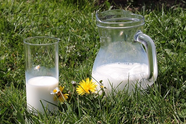 W diecie trzustkowej dopuszczalne jest jedynie chude mleko.