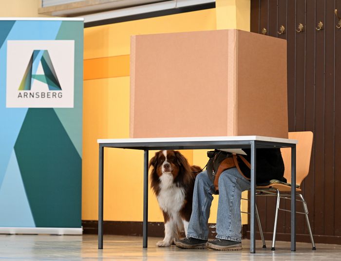 Niemcy idą głosować pełni obaw. Powód do dumy stał się ich największą zmorą