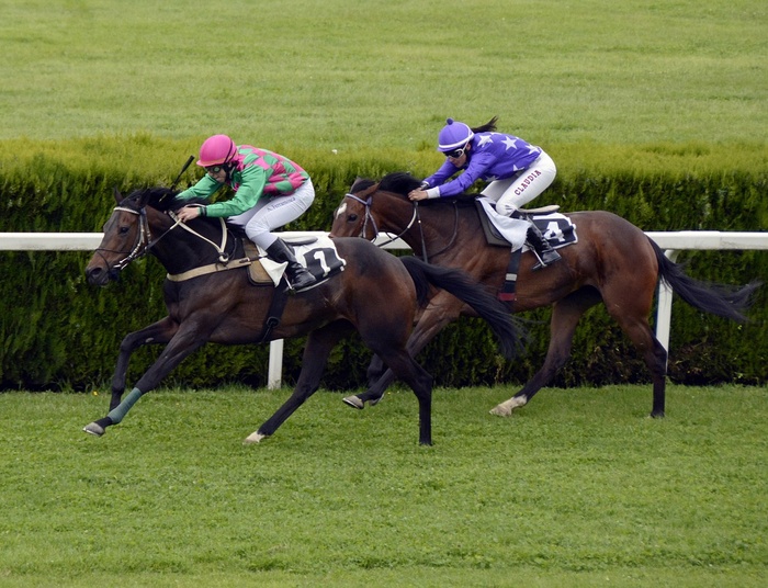 Wielka Warszawska 2021 już w tę niedzielę. To najważniejszy dzień na Torze Służew