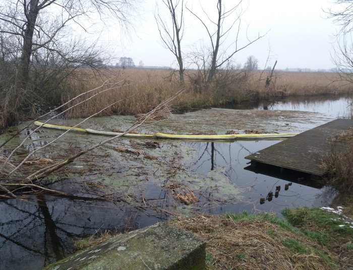 Refleksje po-eCOPlogiczne