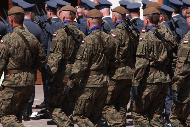 Czy liczebność armii ma dziś znaczenie dla jej siły bojowej? Fot. Pixabay