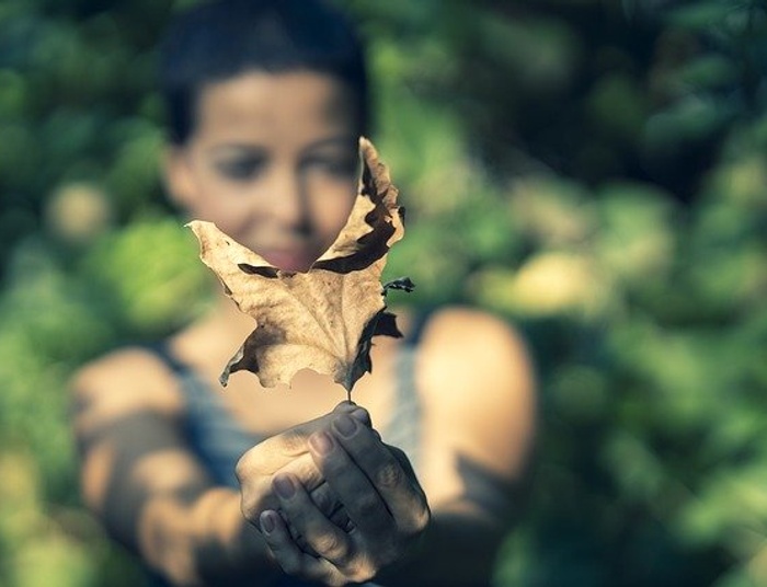 Konserwatysto, przestań się czepiać ekologów!